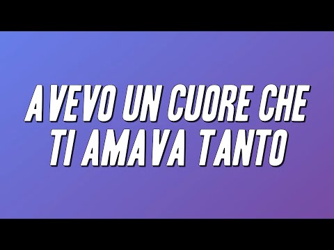 Mino Reitano - Avevo un cuore che ti amava tanto (Testo)