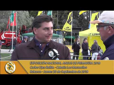 20-08-18 Nota Carlos Ojea Rullan - Cab Los Murmullos - Exp. Nacional Angus de Primavera - Balcarce