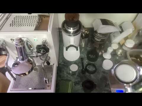 Diletta Bello Plus - Day 5 - working out the deets