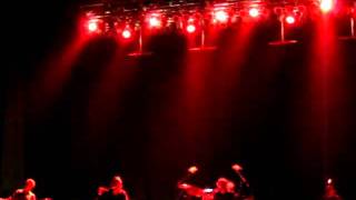 Wilco: Shot in the Arm