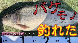 【熊本養魚場】前日大放流の管理釣り場で巨大魚釣り上げた・・・【エリアトラウト】【管理釣り場】