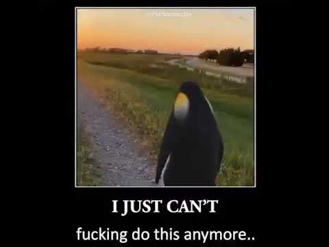 I just can't fucking do this anymore