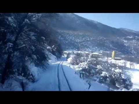 Cab ride narrow gauge Dolene (direction Septemvri). Bulgaria