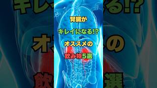 腎臓がピカピカ⁉︎オススメの飲み物5選 #健康 #健康習慣