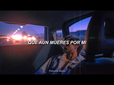 Internacional Mallanep - Donde esta el amor 【LETRA】