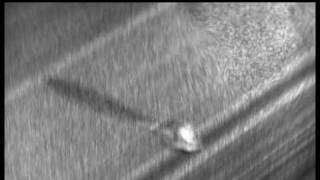 Whirlybird Model Falling in Oil-Bead Solution