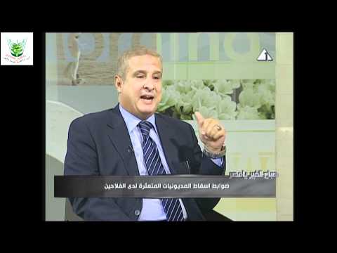 img-video