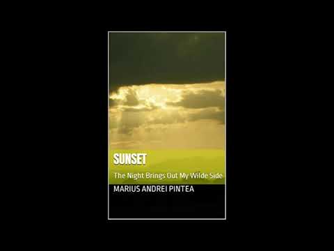 Interview With Marius Andrei Pintea About Book 2 Sunset