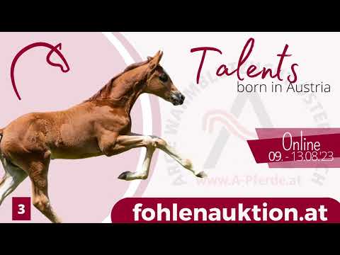 Lot3 - Lennon - 🍀 www.fohlenauktion.at 🍀