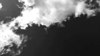 Wild Ones (Bahari Cover)