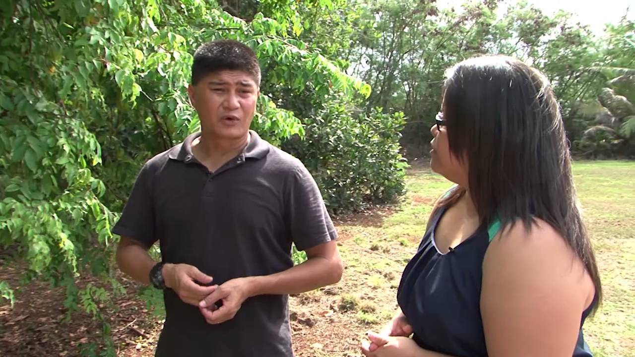 Island Images: Fruits of Guam