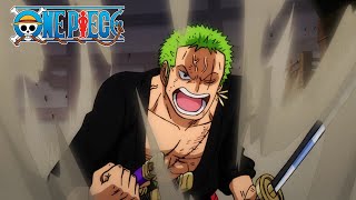 Zoro Needs Anger Management  One Piece