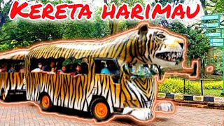 Download lagu RIDING THE TRAIN TUT TUT TUT Song | Tiger-themed amusement train at Ragunan Zoo mp3
