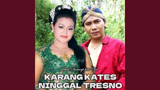 Download lagu Karangkates Ninggal Tresno (feat. Via) mp3