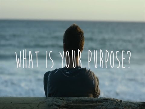 What is Your Purpose?