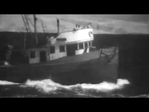 Bodulska - Klapa Greben, Vela Luka