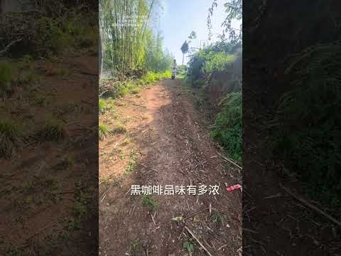 Why does this dog steal my food every day #136