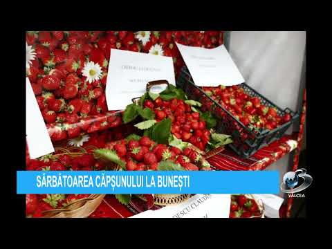 SĂRBĂTOAREA CĂPȘUNULUI LA BUNEȘTI