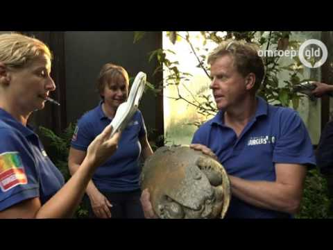 GLD VANDAAG  6 september 2016