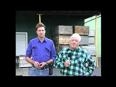 WGOH - Chazy Orchards (snippet)  9-27-94