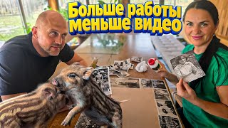 История семьи в сердцах и фотографиях. Экосистема пруда перезагружена. Опер?