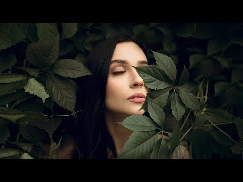 Mose N - Party Stream Podcast 29 (Deep House - Jackin House)