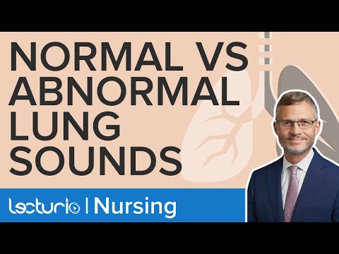 Normal and Abnormal Breath Sounds Explained | Physical Assessment | Lecturio Nursing