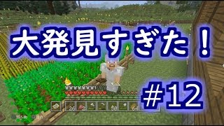 【マイクラ実況】大発見すぎた！#12