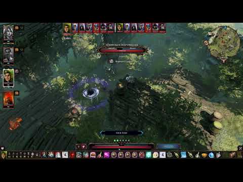 Divinity  Original Sin 2 Killing Voidwoken on Tactician Difficulty Mode