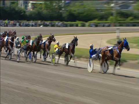 Trotto 01/05/2017 - 4ª corsa - 2ª batteria