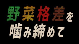 野菜格差を噛み締めて