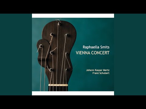 Fantaisie Originale Op 65 No 2 - Johann Kaspar Mertz