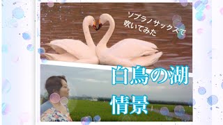 Download lagu 白鳥の湖　情景　チャイコフスキー　SWAN LAKE scene ソプラノサックスで吹いてみた mp3