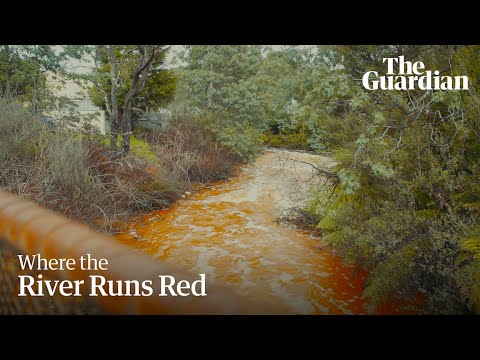 The Guardian and Guardian Australia