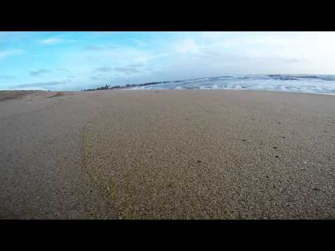 GoPro Sri Lanka - Crabs at Negombo Beach