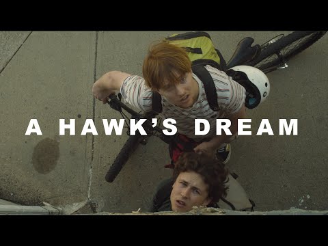 A Hawk's Dream (2021)