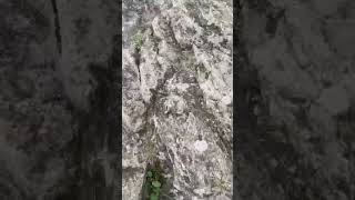 Durnstein castle ruins Austria along the Danube River