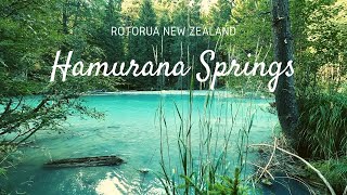 Hamurana Springs Rotorua | Peace and Relaxation