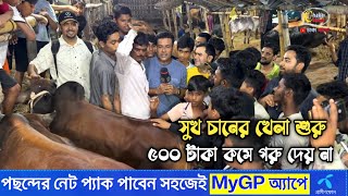 ৫০০ টাকা কমে সুখ চান গরু দিতে চায় না, শুরু হলো মহা টানা টানি! qurbani cow price 2025