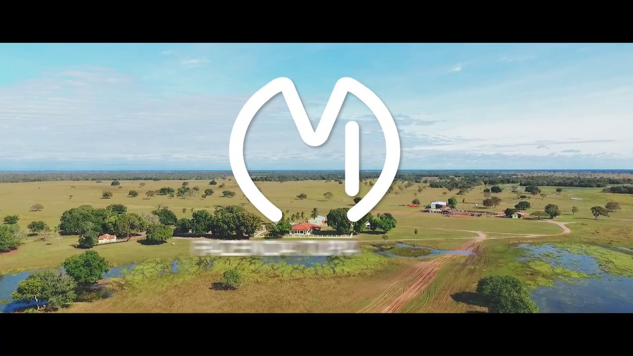 Fazenda Tupã - Pantanal da Nhecolândia