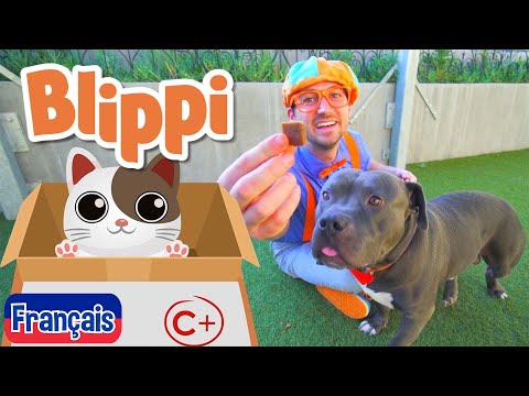 Blippi Visite Un Refuge d’Animaux - Blippi en français | Vidéos éducatives pour les enfants