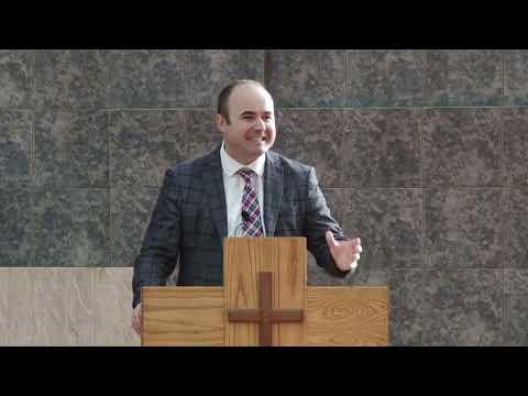 Predicile UEO - Marius Stroia