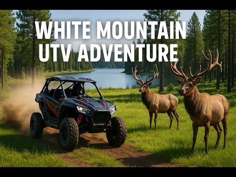EPIC 2024 White Mountain UTV Adventure – Ride Arizona’s Hidden Gem! 🌲🏔️