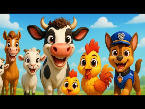 Mix Vacuta cu parul cret. Top cele mai iubite melodii Sclipi Kids