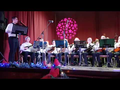 Novogodišnji koncert TŠ Batorek 2016.