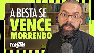 Qual o significado de Filho do Homem em Daniel 7? - Talmidim com Douglas Gonçalves