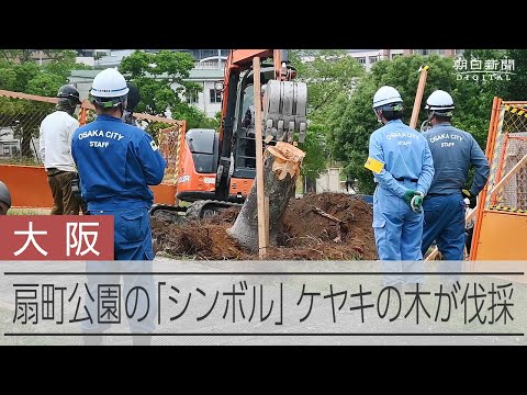 野太い声、明らかに別人　高齢者へ不当勧誘、捏造の実態 動画：朝日新聞デジタル