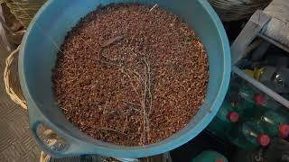 liberatore-farisco-le-sue-mani-d-oro-e-il-desiderio-di-felicita-a-natale