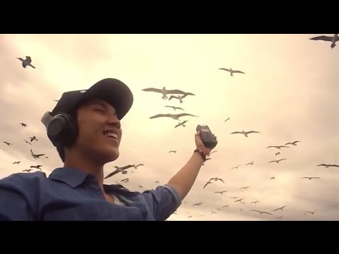 คลิกเพื่อดูคลิปวิดีโอ