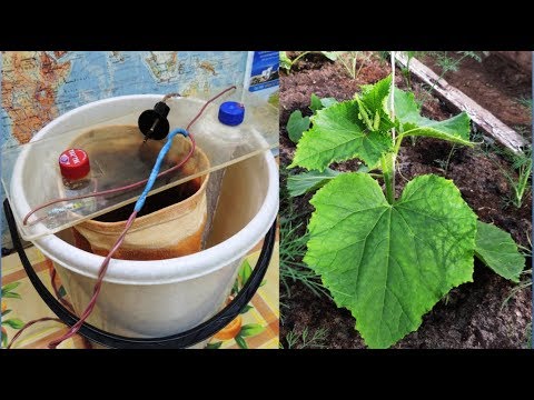 💥 "Живая" вода - 6 литров 🌊 за один раз!  Урожай 🥒🍅🍆🥕 100% (live and dead water).